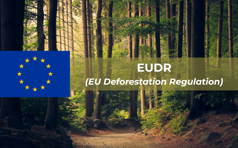 EUDR.png