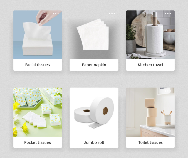 Various tissue and paper products including facial tissues, paper napkins, kitchen towels, pocket tissues, jumbo rolls, and toilet tissues displayed in a grid layout.
